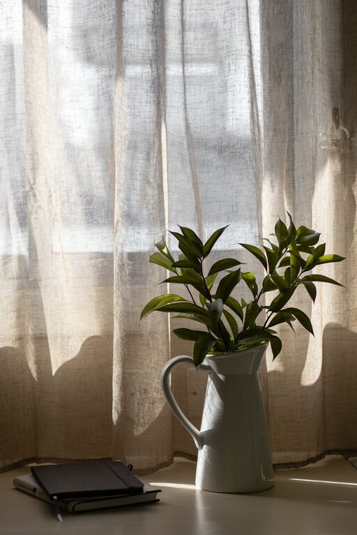 How to Refresh Your Home with Plants: Easy Tips for a Greener Space